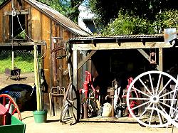Photo of Alpine California