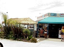 Carlsbad, California Beach
