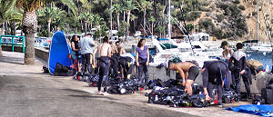 Diving in the waters off Catalina Island