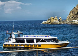 Glass bottom boat