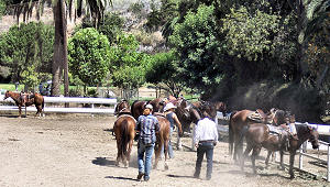Horses and riding on Catalina Island