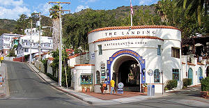The Landing