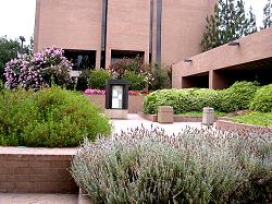 El Cajon Civic Center garden