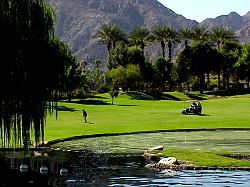 Palm Springs Golf