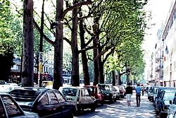 Paris street scene