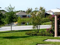 view of pond