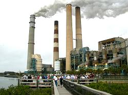 people on viewing dock TECO in background