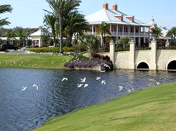 bridge to MiraBay welcome center, birds in Apollo Beach
