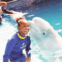 Seaworld Orlando Florida discount tickets