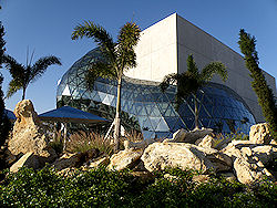 Dali Museum Florida landscape