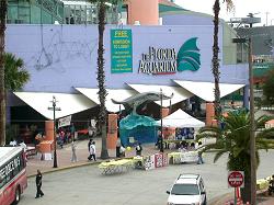 The Florida Aquarium