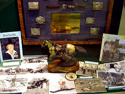 Things from Tampa's horse history
