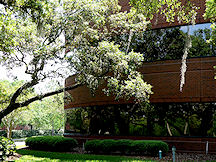 Landscape and building photo in Sabal Park