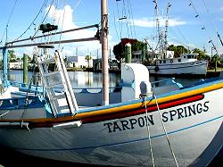 Tarpon Springs sponge docks