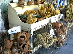 baskets of sponges for sale