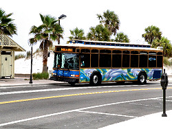 Public bus to get around cheap