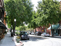 trees along Lakeland Florida street