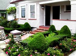 landscaping in front of home