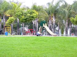Trolly Barn Park slide