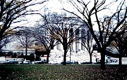Capitol steps