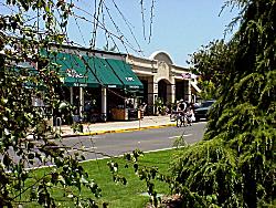 Coronado street landscaping