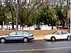 cars parked on graves