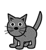 Friendly cat