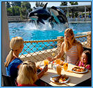 family eating with Shamu