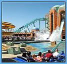 Sea World rides