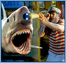 Sea World laffs