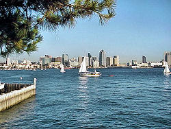 Photo of San Diego Harbor with downtown in background