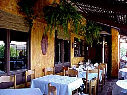 El Agave